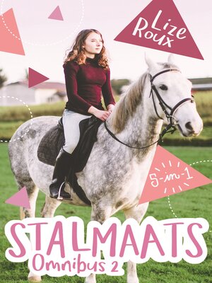 cover image of Stalmaats Omnibus 2